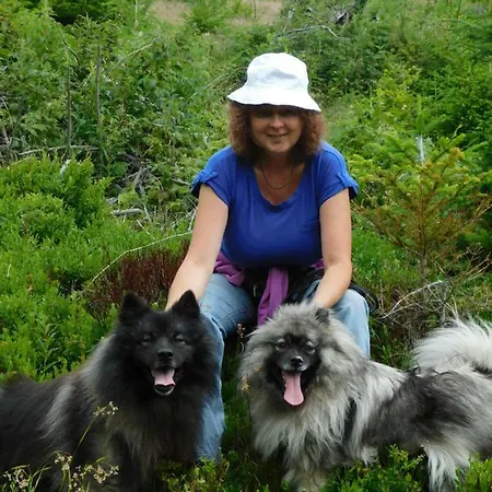 Διαμέρισμα Pod Dubom Liptovský Mikuláš