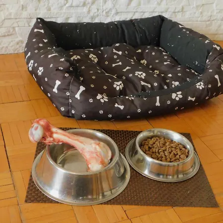 Pod Dubom