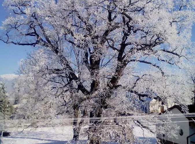 Pod Dubom * Liptovský Mikuláš