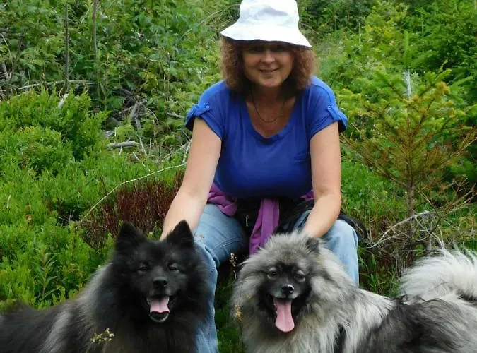 Apartamento Pod Dubom Liptovský Mikuláš